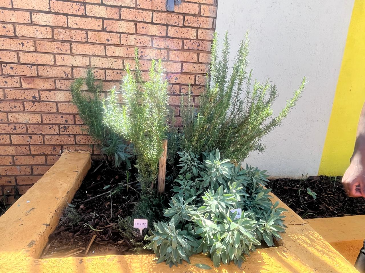 Community garden