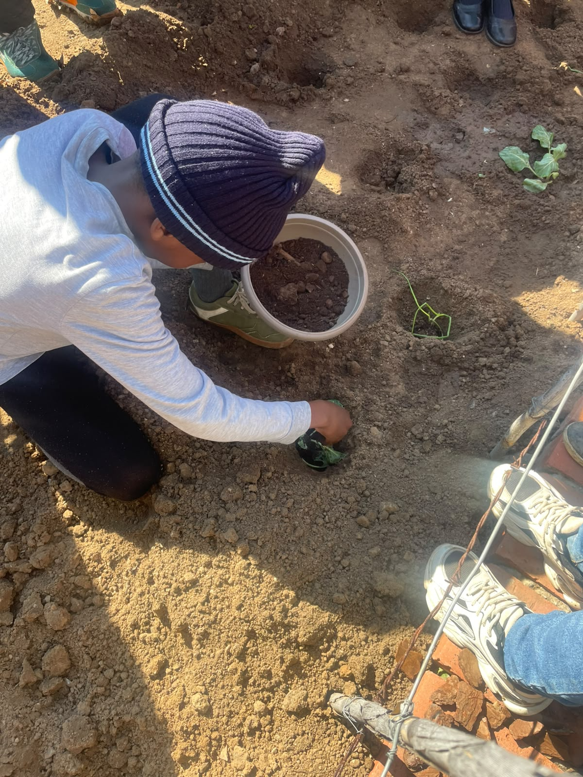 Gardening